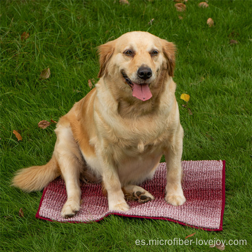 Toallas de microfibra de limpieza para perros absorbentes de mascotas lindas